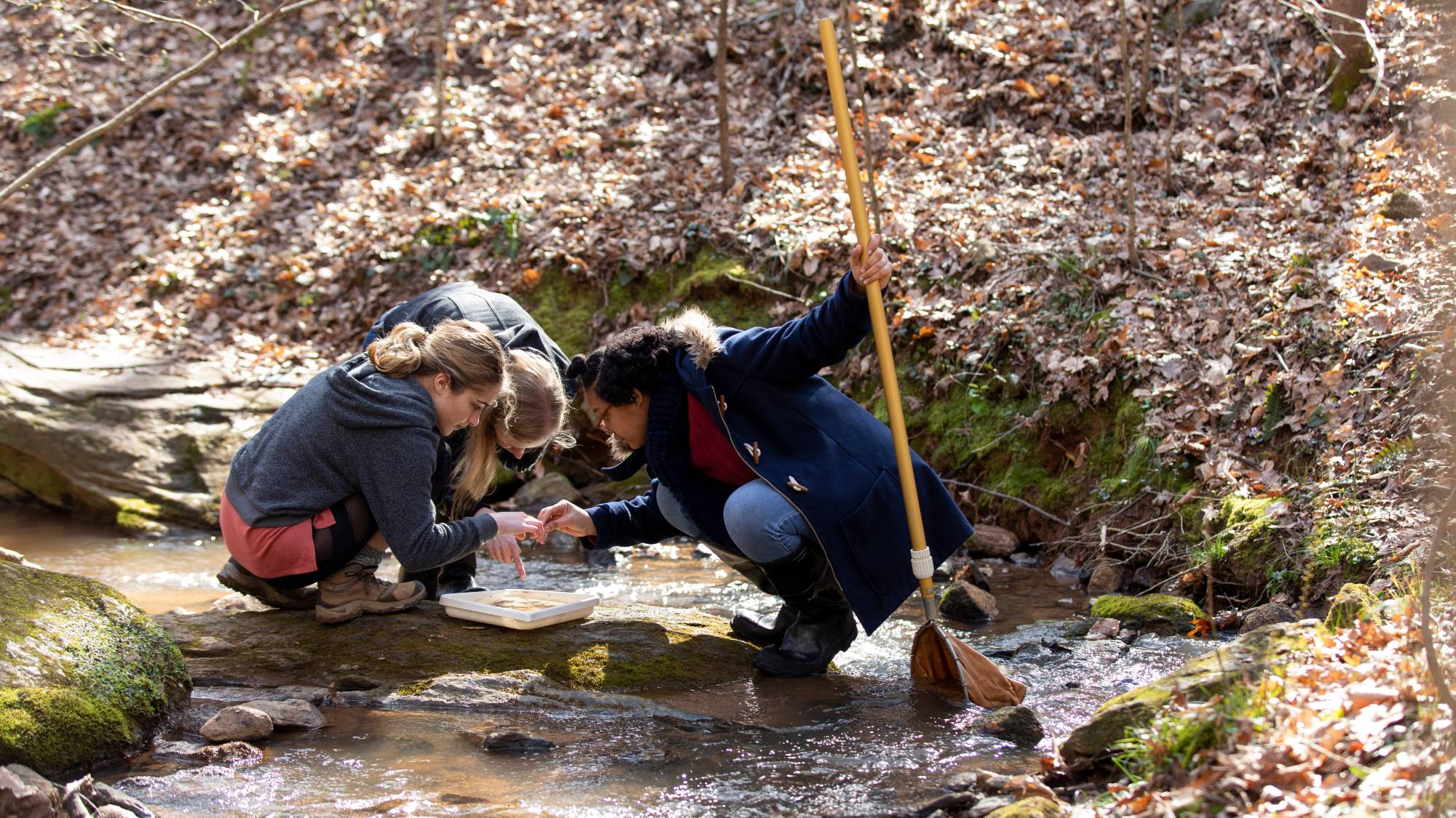 Three people crouch in a stream looking at a sample in a tray