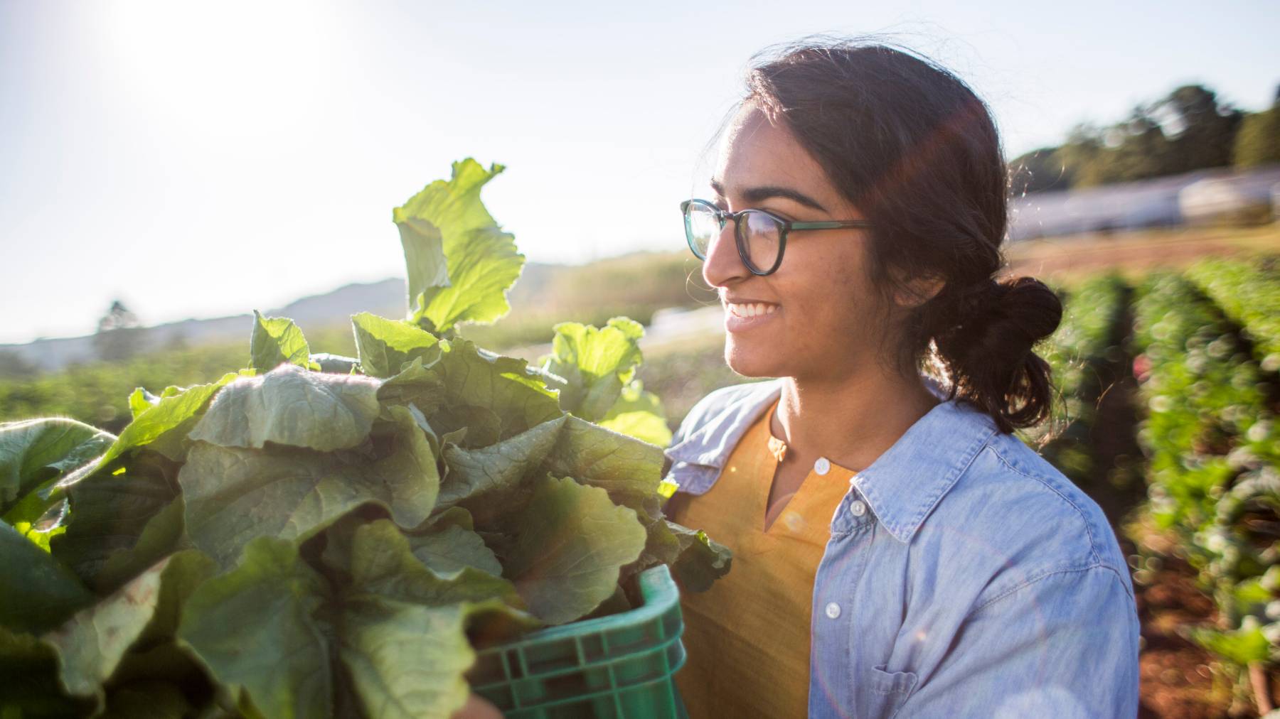 A person smiles while holding a tub of leafy greens in a garden in the sunshine