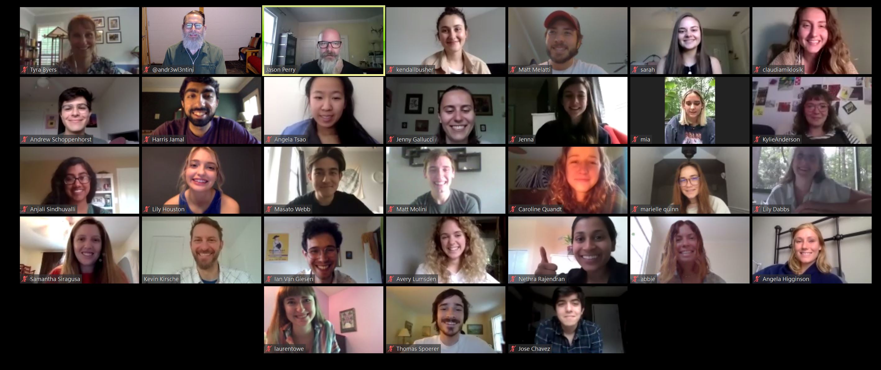 Screenshot of Zoom meeting with intern faces