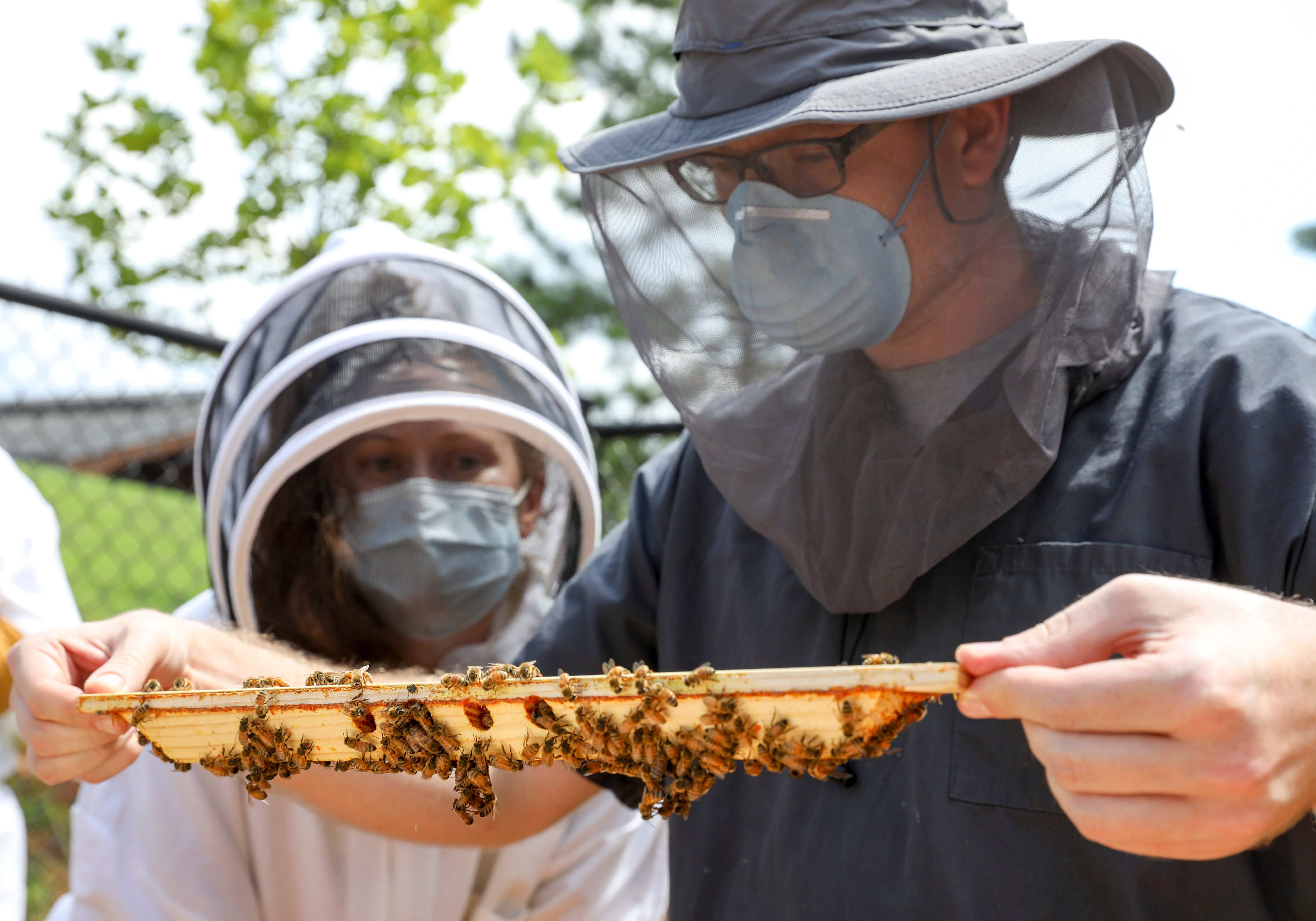 Joerg Mayer Teaching Beekeeping Class