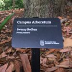 The Campus Arboretum Program has installed 150 educational signs.