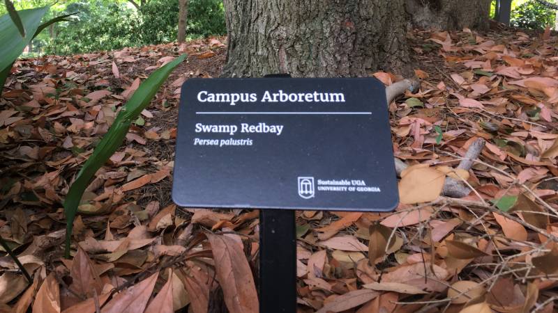 The Campus Arboretum Program has installed 150 educational signs.