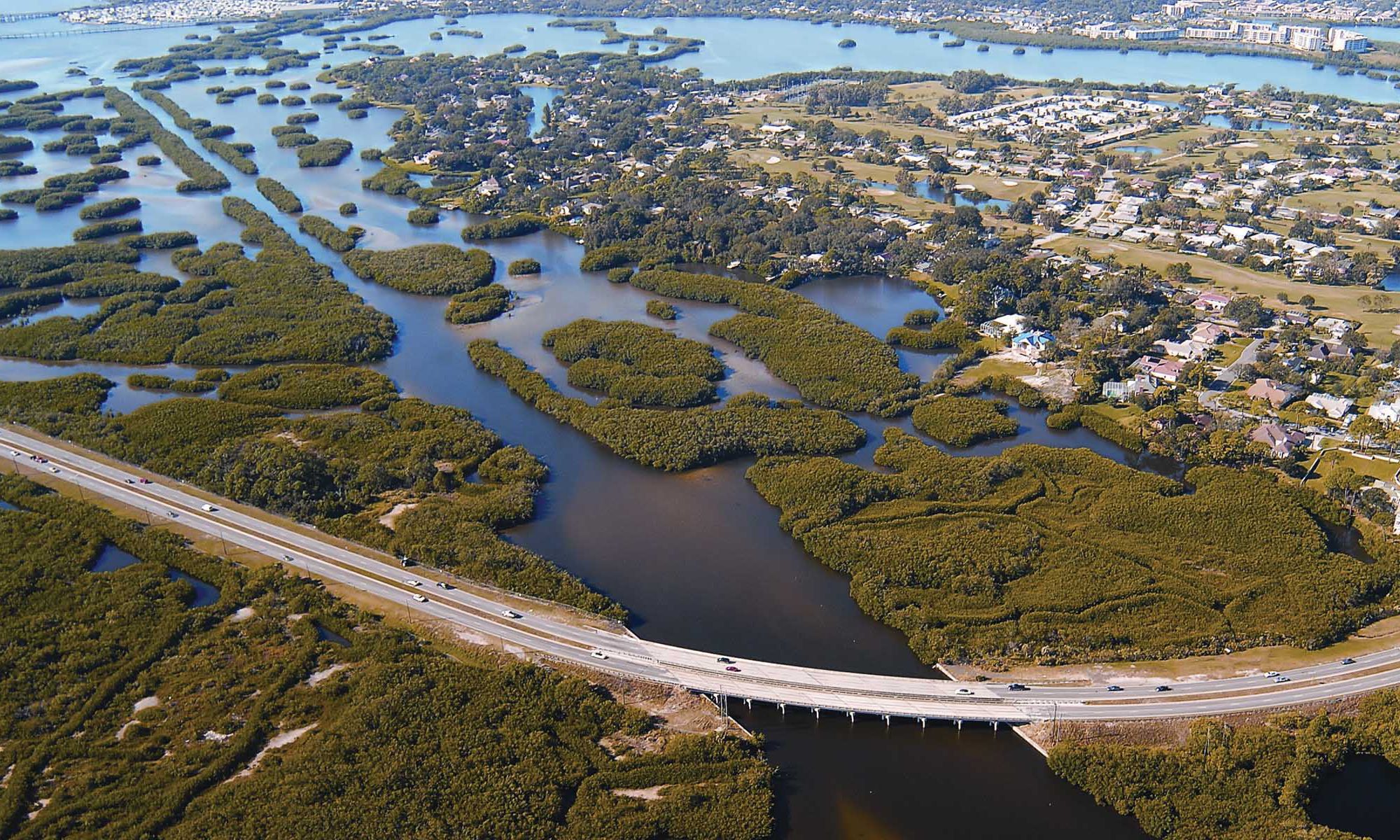 IRIS_coastal-flooding