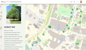 As of 2023 there are 8 campus tree walks on campus