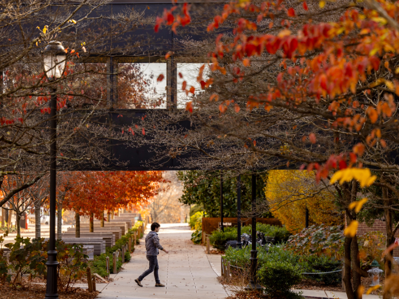 External Advisory Board