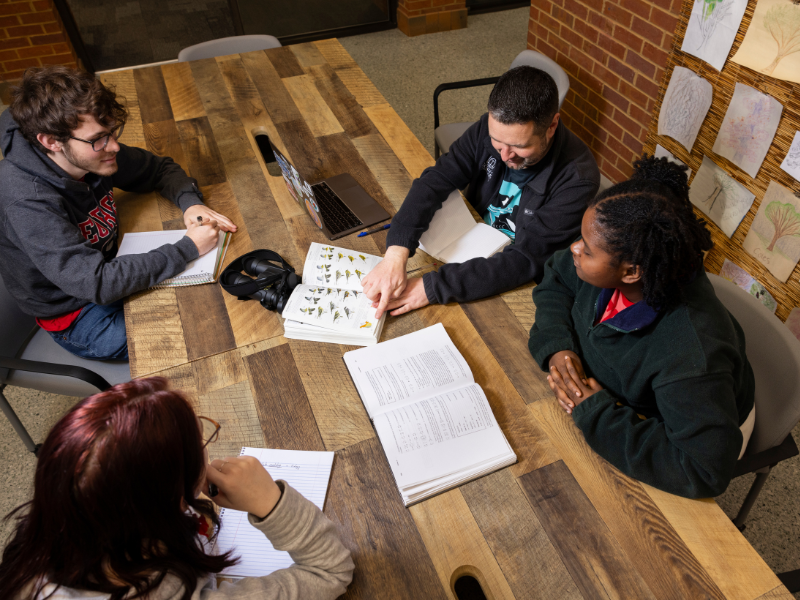 Monthly Faculty Sustainability Newsletter