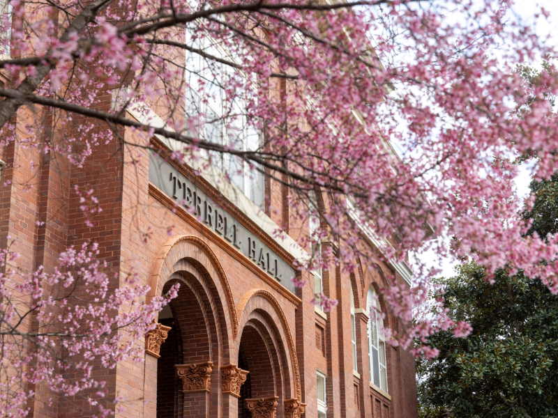 Professional Clothing Closet